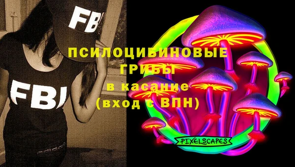 шишки Алексеевка