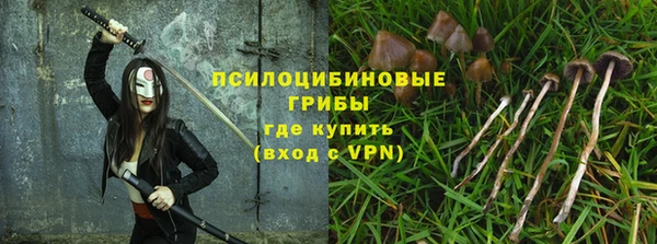 МДПВ Алзамай