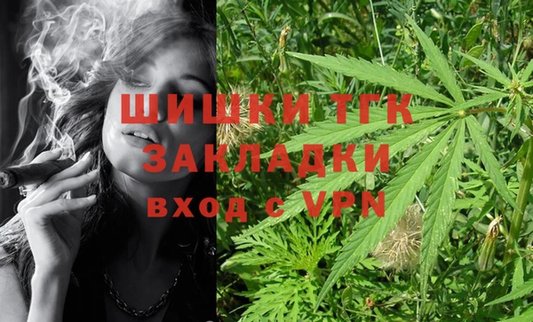 шишки Алексеевка