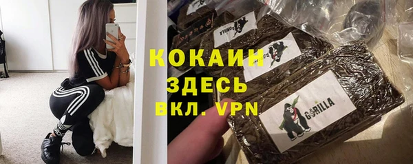 шишки Алексеевка