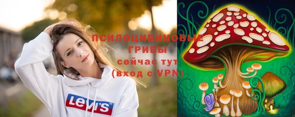 шишки Алексеевка