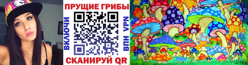 Псилоцибиновые грибы мухоморы  купить наркотики цена  Жирновск 