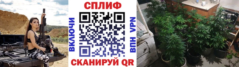 МЕГА зеркало  купить наркоту  Жирновск  Бошки марихуана Ganja 
